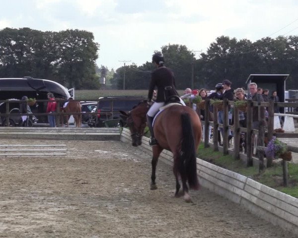Reitturnier Ostbevern 2023