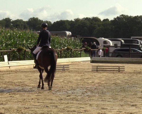 Reitturnier Ostbevern 2023