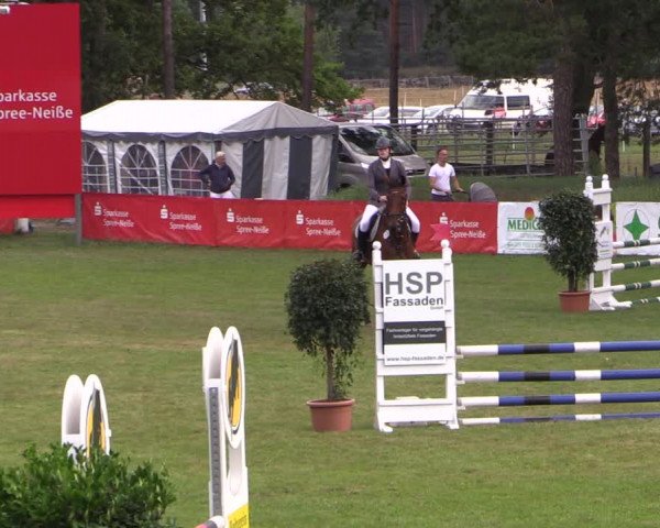 Reitturnier Cottbus-Sielow 2023