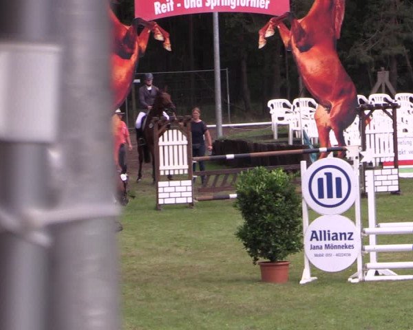 Reitturnier Cottbus-Sielow 2023