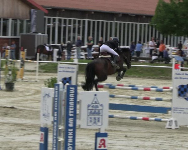 Reitturnier Werne 2023