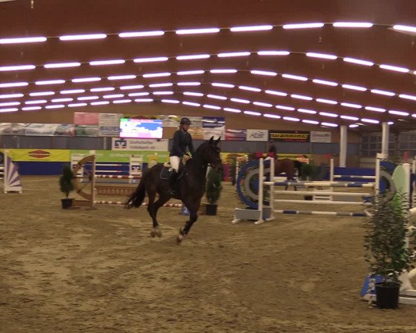 Euregio Springturnier Isterberg 2021