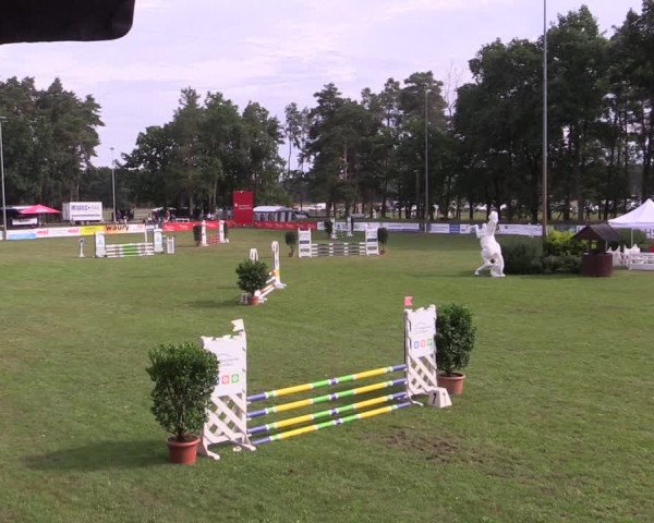 Reitturnier Cottbus-Sielow 2023