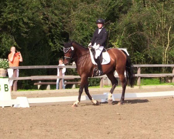 Reitturnier Kleinsolt 2023
