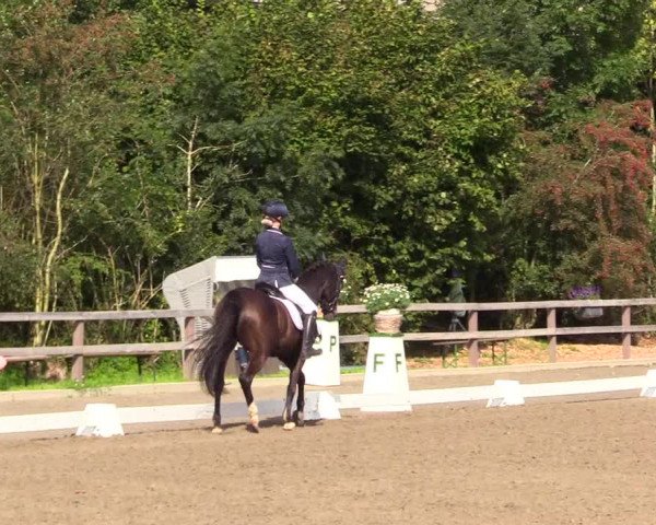 Reitturnier Kleinsolt 2023