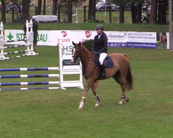 Reitturnier Cottbus-Sielow 2023