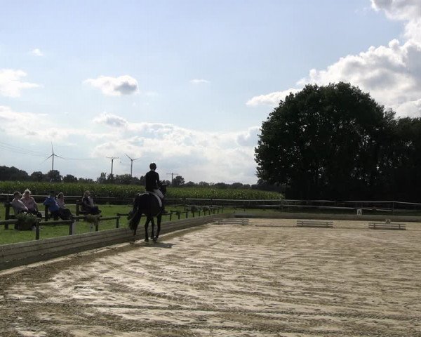 Reitturnier Ostbevern 2023