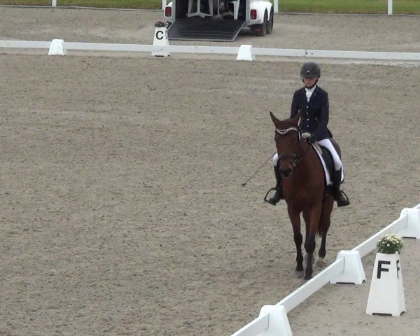 Reitturnier Bülach 2023