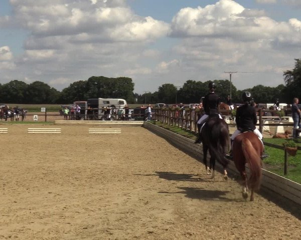 Reitturnier Ostbevern 2023