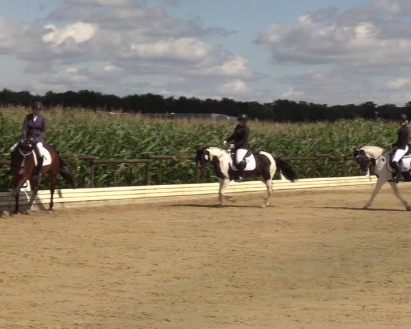 Reitturnier Ostbevern 2023
