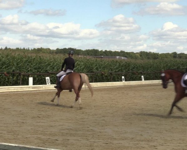 Reitturnier Ostbevern 2023