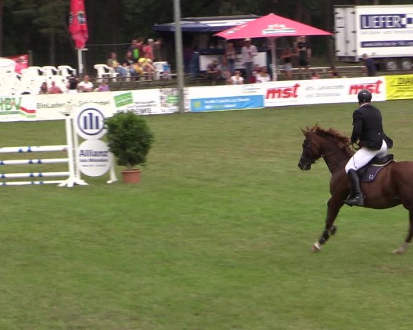 Reitturnier Cottbus-Sielow 2023