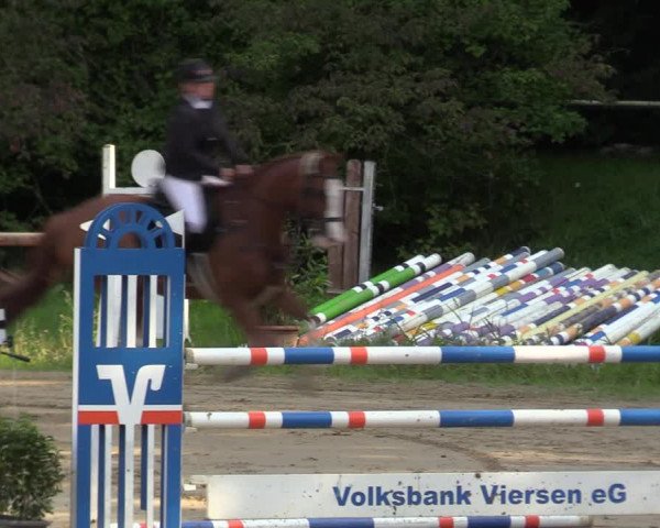 Reitturnier Viersen-Dülken 2023