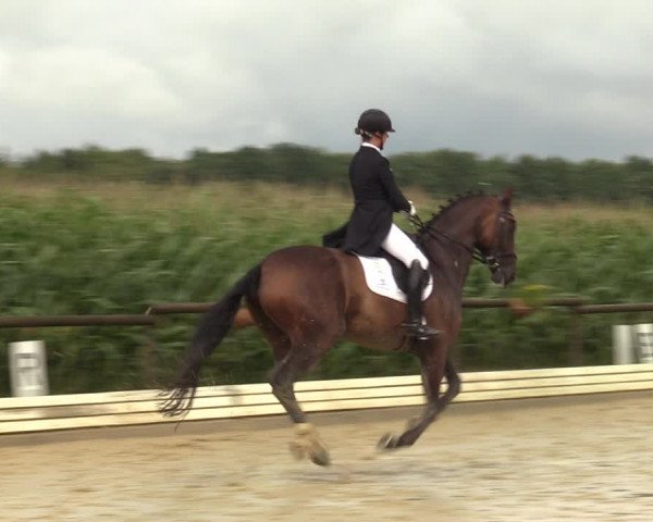 Reitturnier Ostbevern 2023