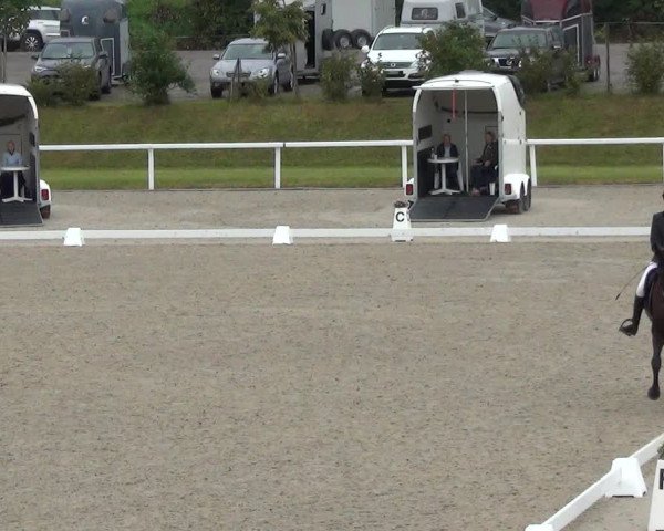 Reitturnier Bülach 2023