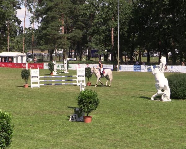 Reitturnier Cottbus-Sielow 2023