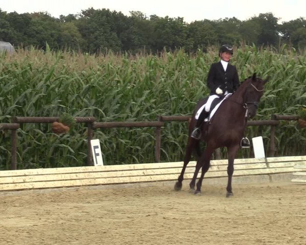 Reitturnier Ostbevern 2023