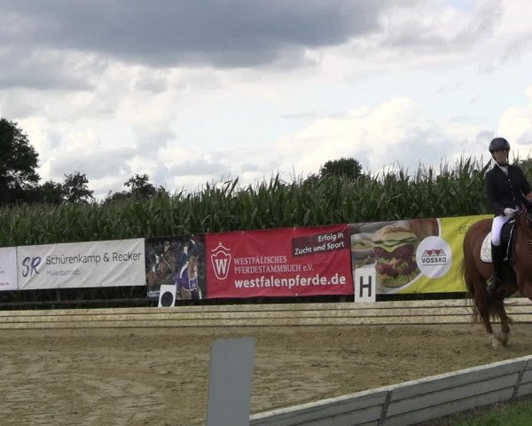 Reitturnier Ostbevern 2023