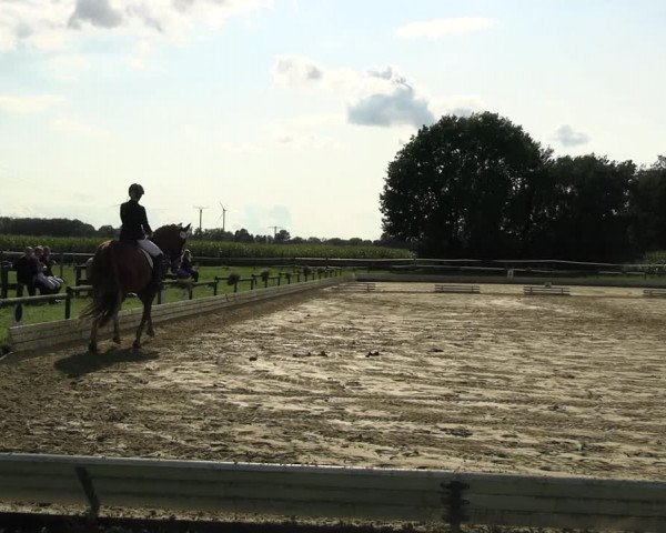 Reitturnier Ostbevern 2023