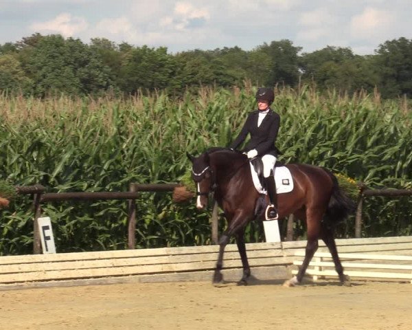 Reitturnier Ostbevern 2023