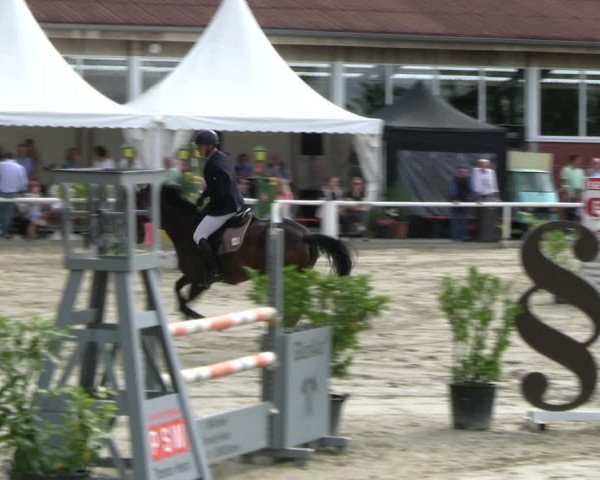 Reitturnier Werne 2023
