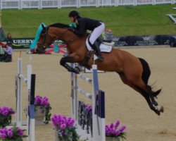 broodmare Ashdale Luxara (anglo european sporthorse, 2004, from Luidam)