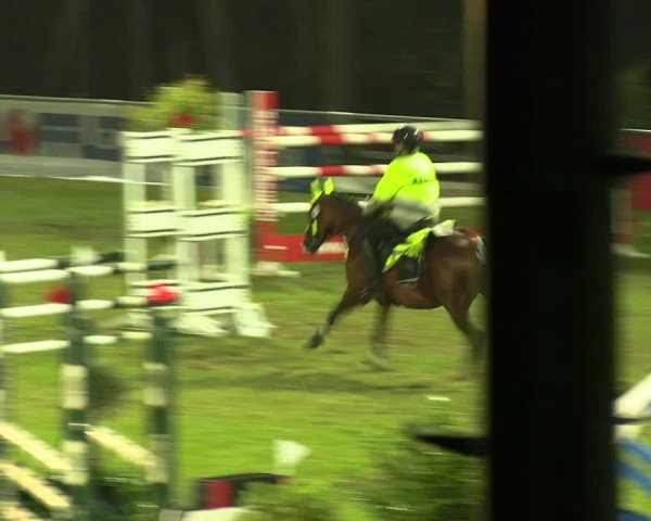Reitturnier Lengenfeld/Vogtl. 2023