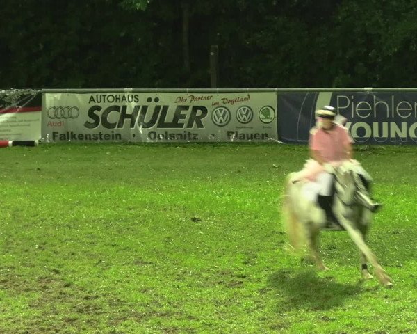 Reitturnier Lengenfeld/Vogtl. 2023