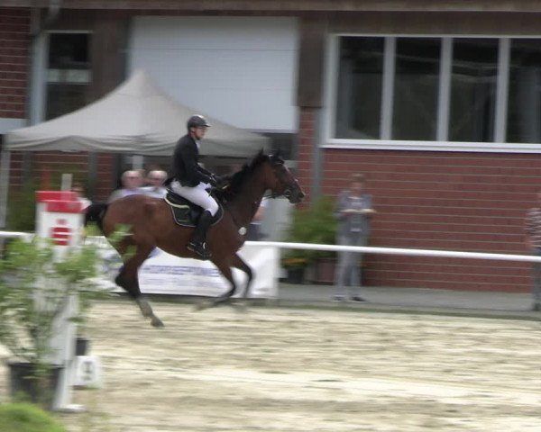 Reitturnier Werne 2023
