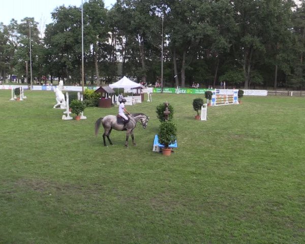 Reitturnier Cottbus-Sielow 2023