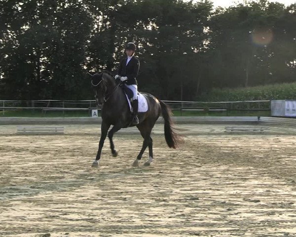 Reitturnier Ostbevern 2023