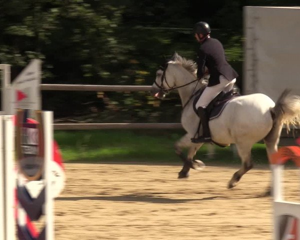 Reitturnier Viersen-Dülken 2023