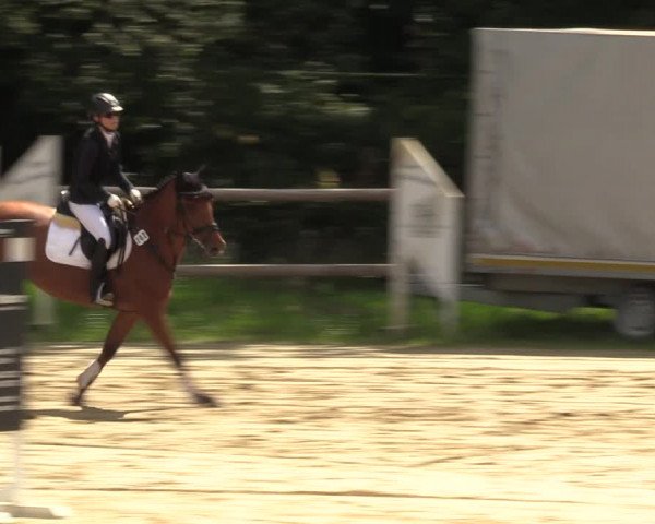 Reitturnier Viersen-Dülken 2023