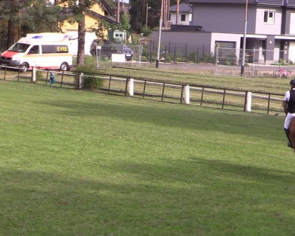 Reitturnier Cottbus-Sielow 2023