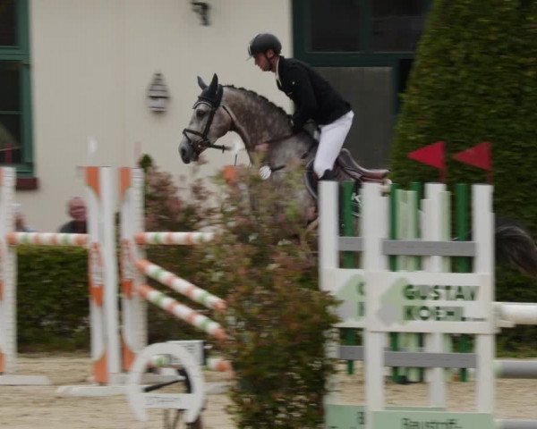 Reitturnier St.Wendel, Gestüt Welvert 2023