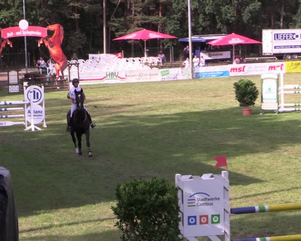 Reitturnier Cottbus-Sielow 2023