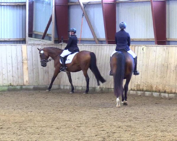Reitturnier Kleinsolt 2023