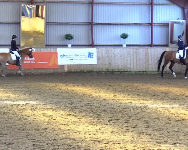 Reitturnier Kleinsolt 2023