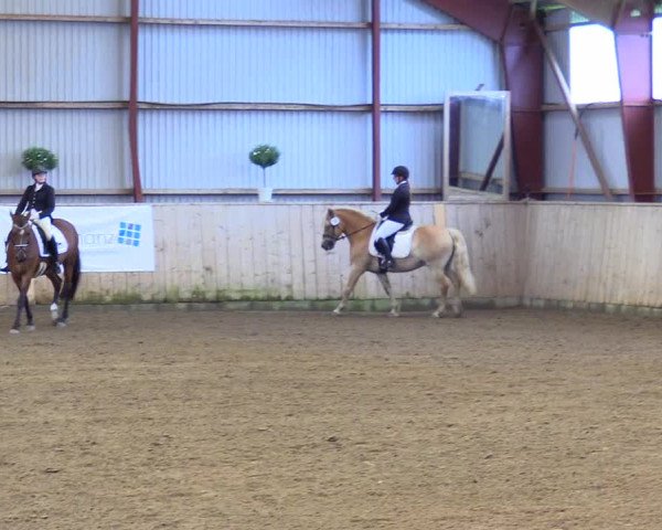 Reitturnier Kleinsolt 2023