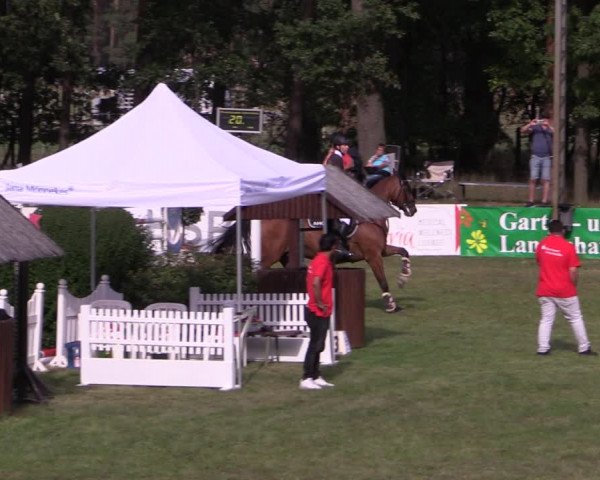 Reitturnier Cottbus-Sielow 2023