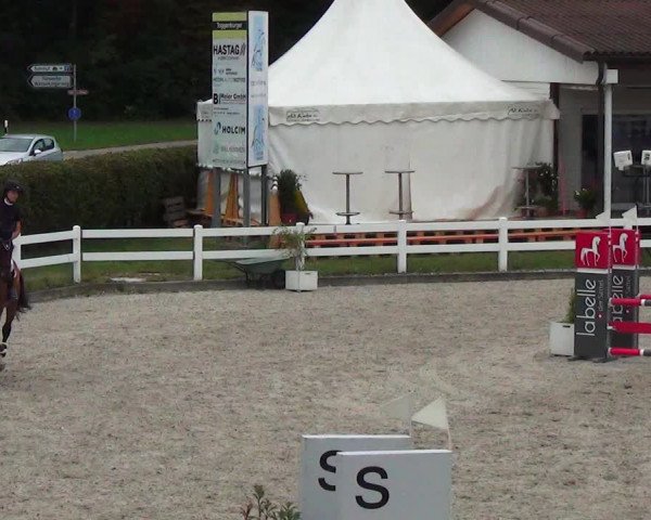 Reitturnier Hüntwangen 2023