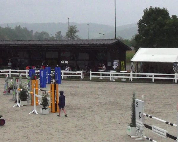 Reitturnier Hüntwangen 2023