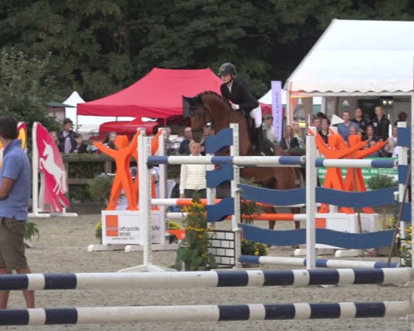Reitturnier Solingen 2023