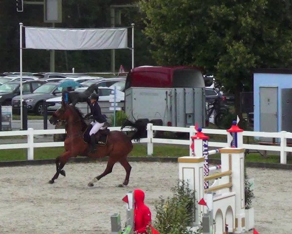 Reitturnier Hüntwangen 2023