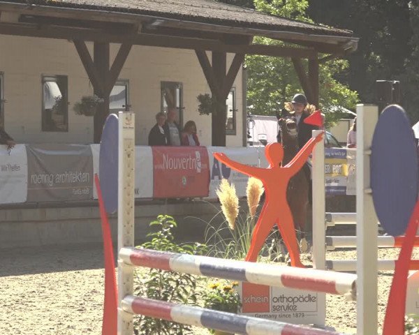 Reitturnier Solingen 2023