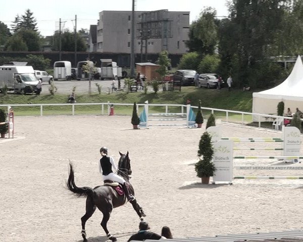Pferdesporttage Bülach 2021