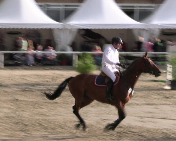 Reitturnier Werne 2023