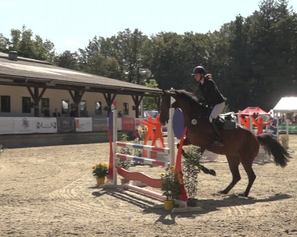Reitturnier Solingen 2023