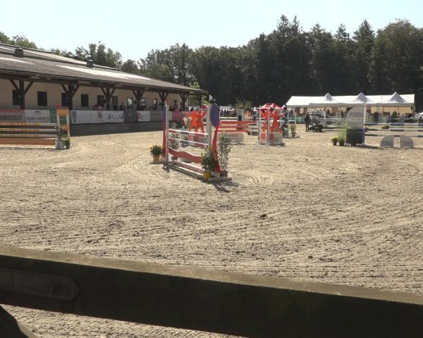 Reitturnier Solingen 2023