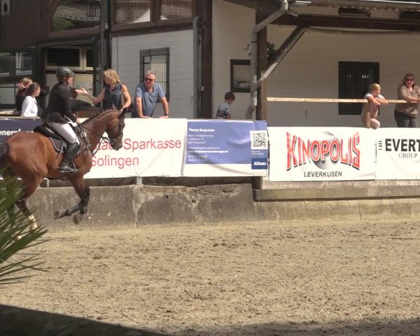 Reitturnier Solingen 2023